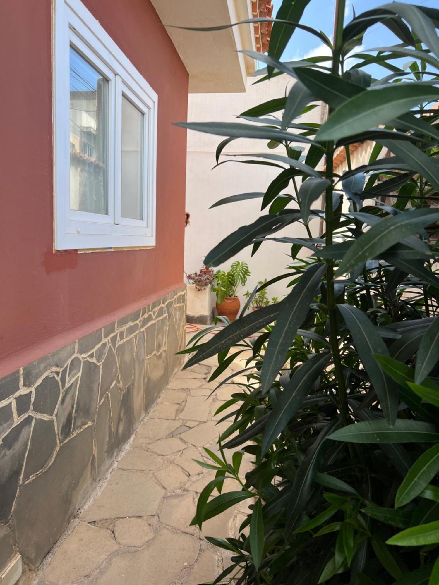 Atico Casa De Invitados Bluemoon Сан-Крістобаль-де-ла-Лагуна Екстер'єр фото